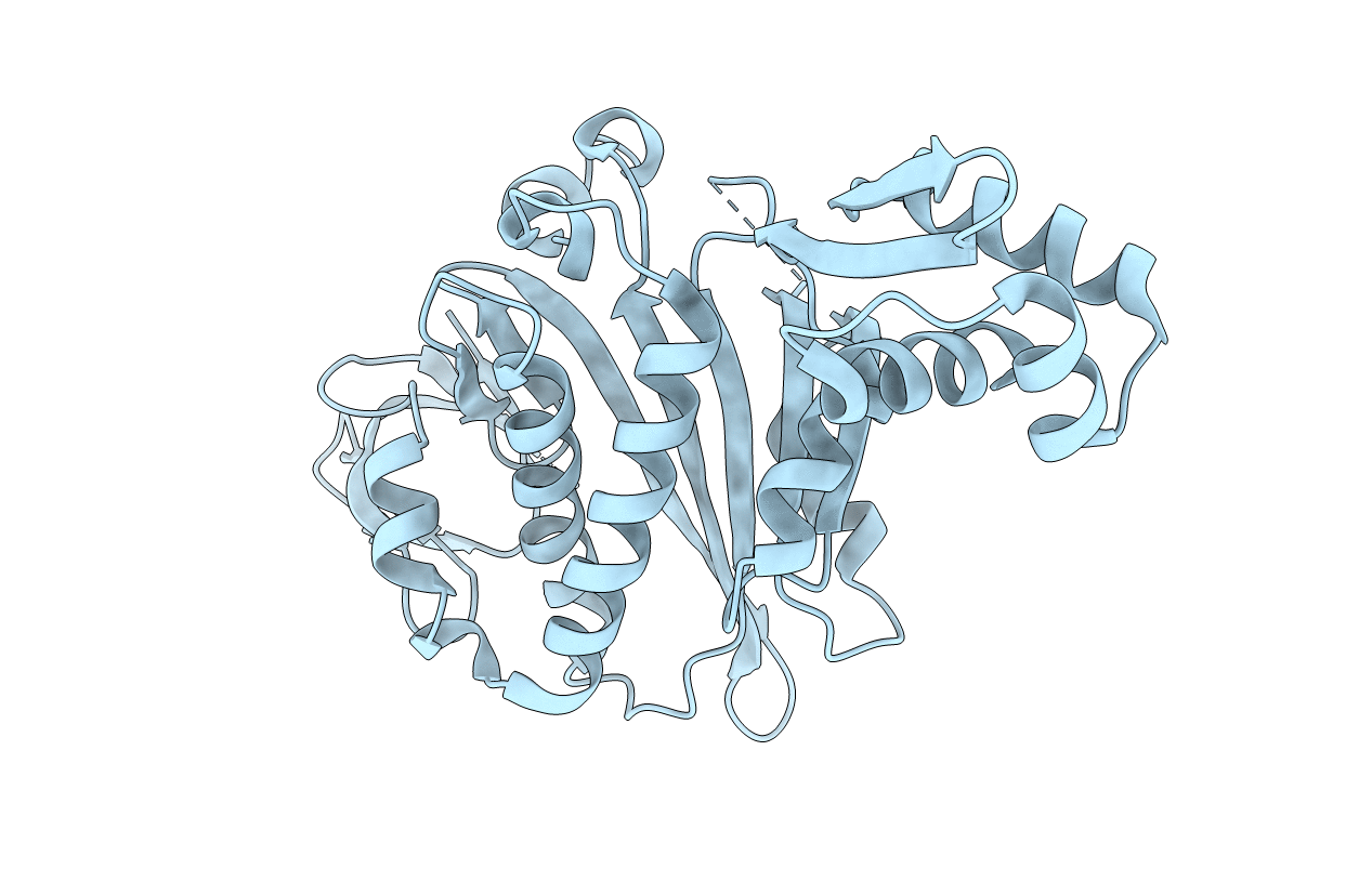 3RKX image
