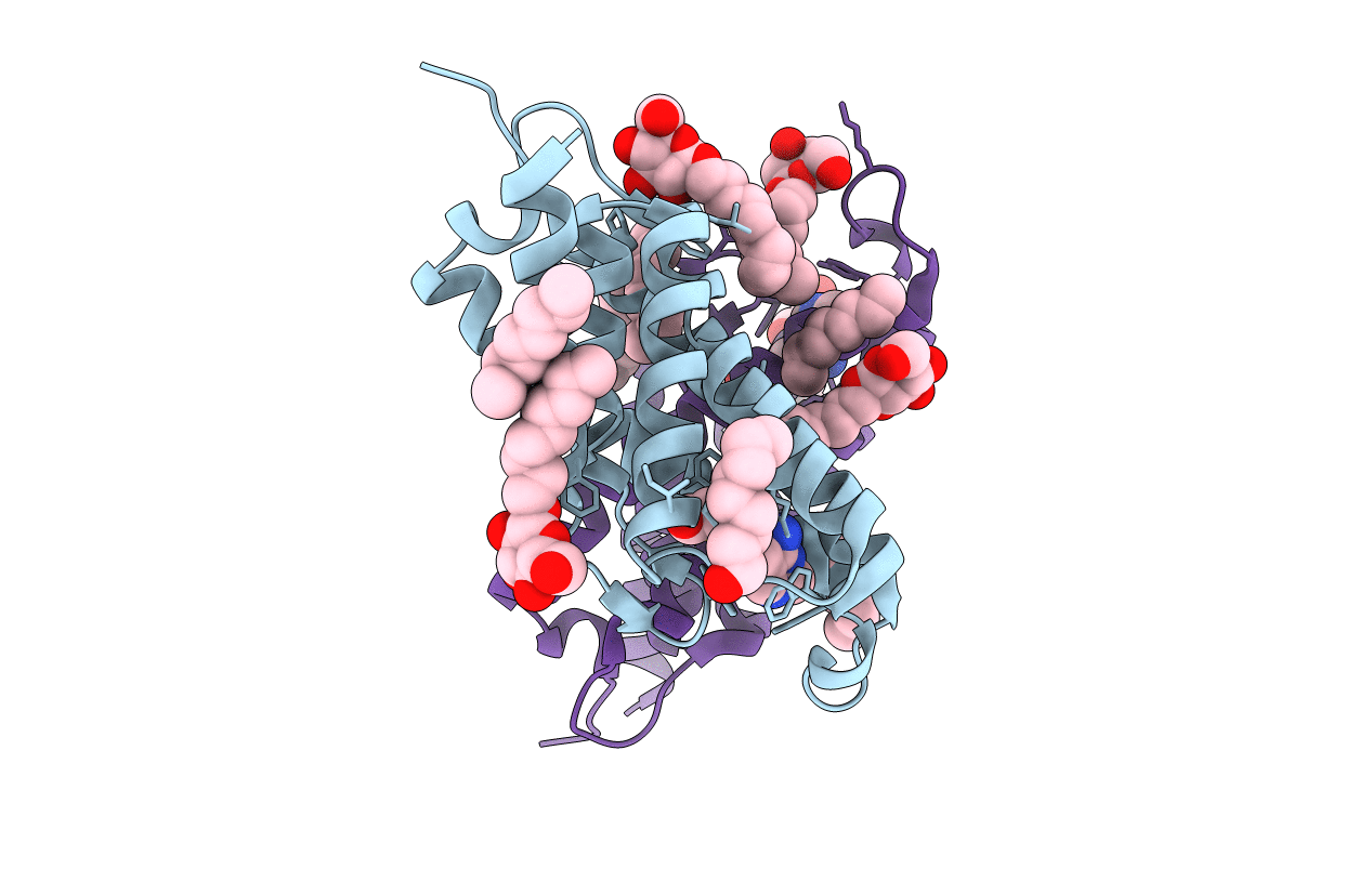 3RLB image