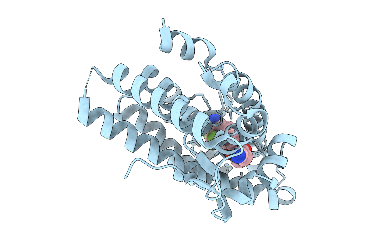 3RLL image
