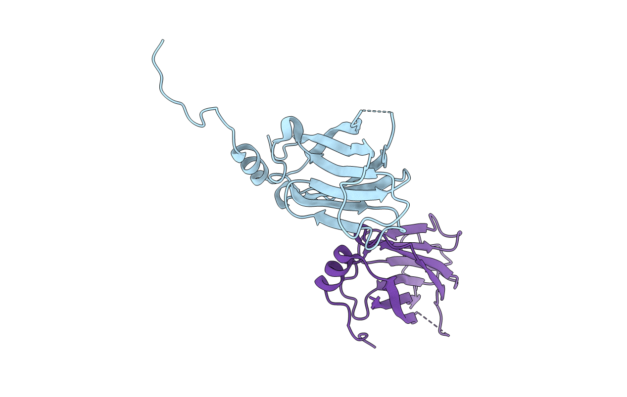 3RLS image