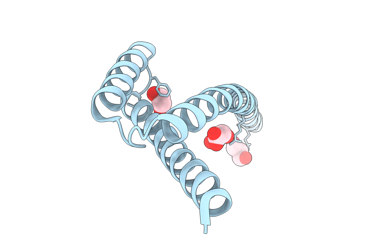 3RMI image