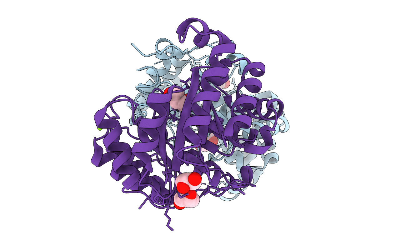 3RMJ image