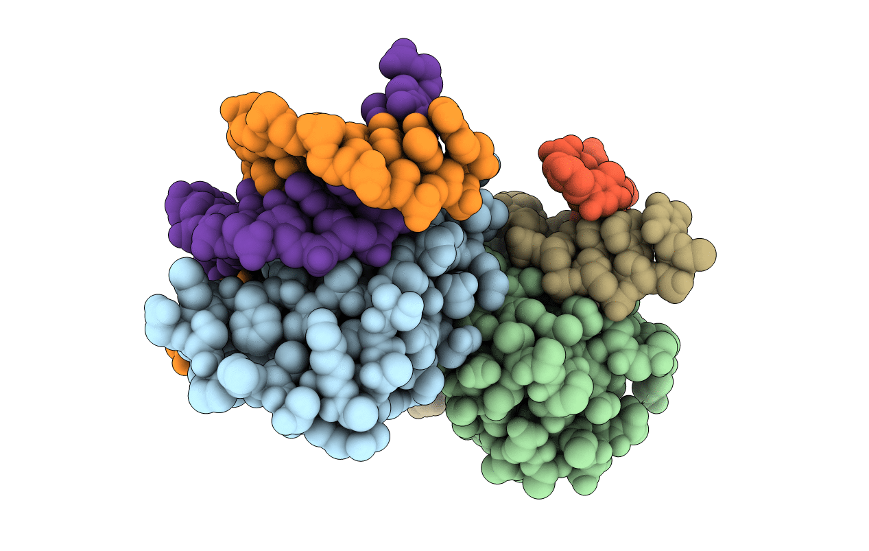 3RMP image