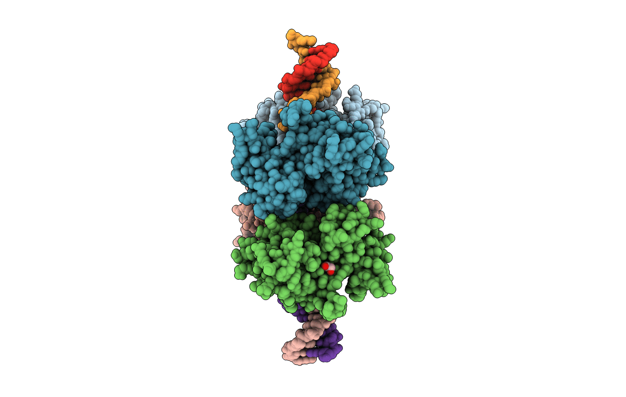 3RN5 image