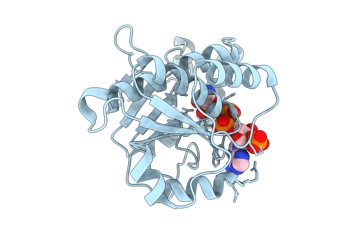 3RNO image