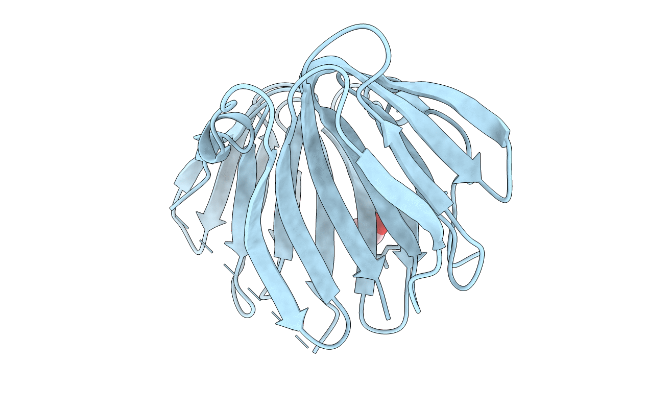 3RNS image