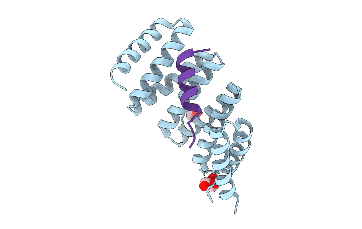 3RO3 image