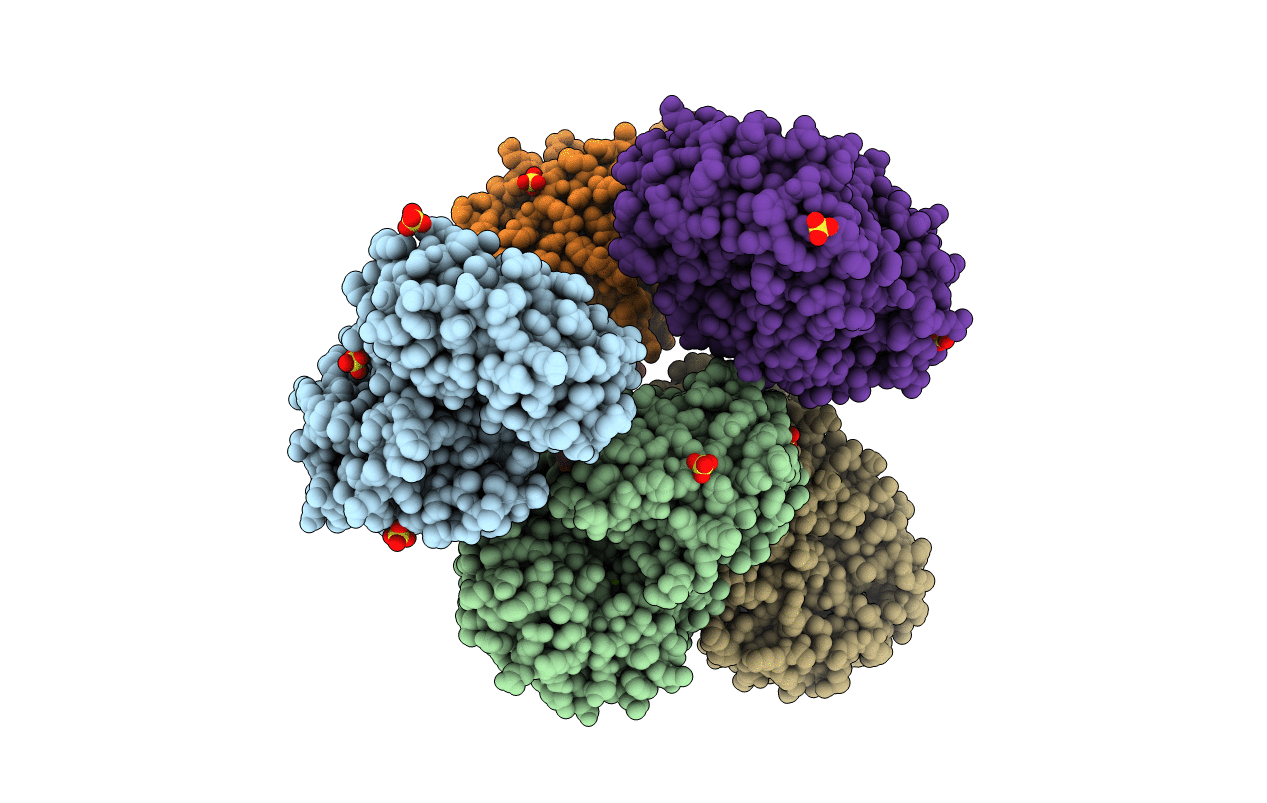 3RO6 image