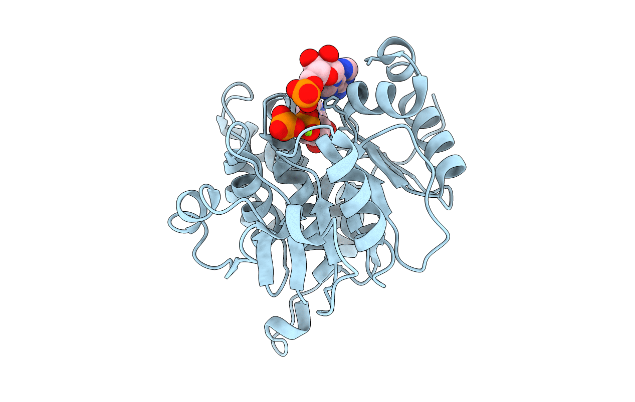 3RPH image