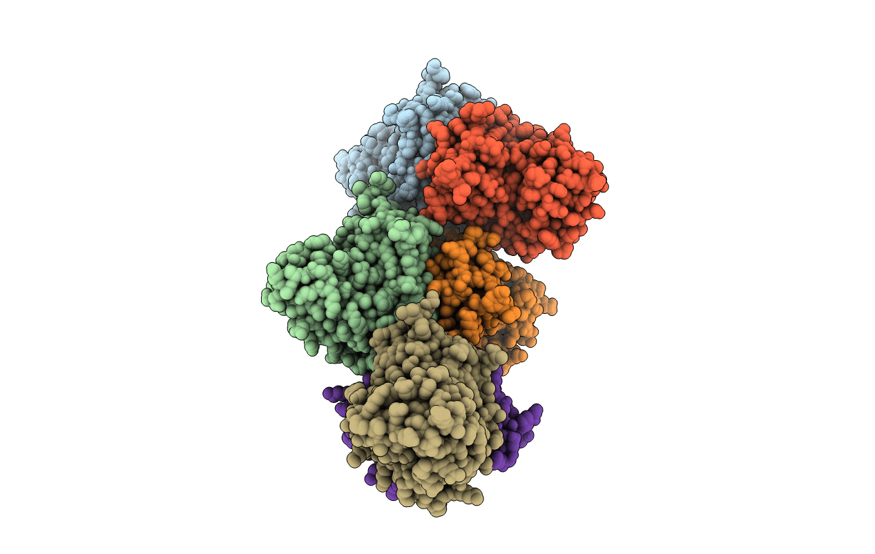 3RPN image