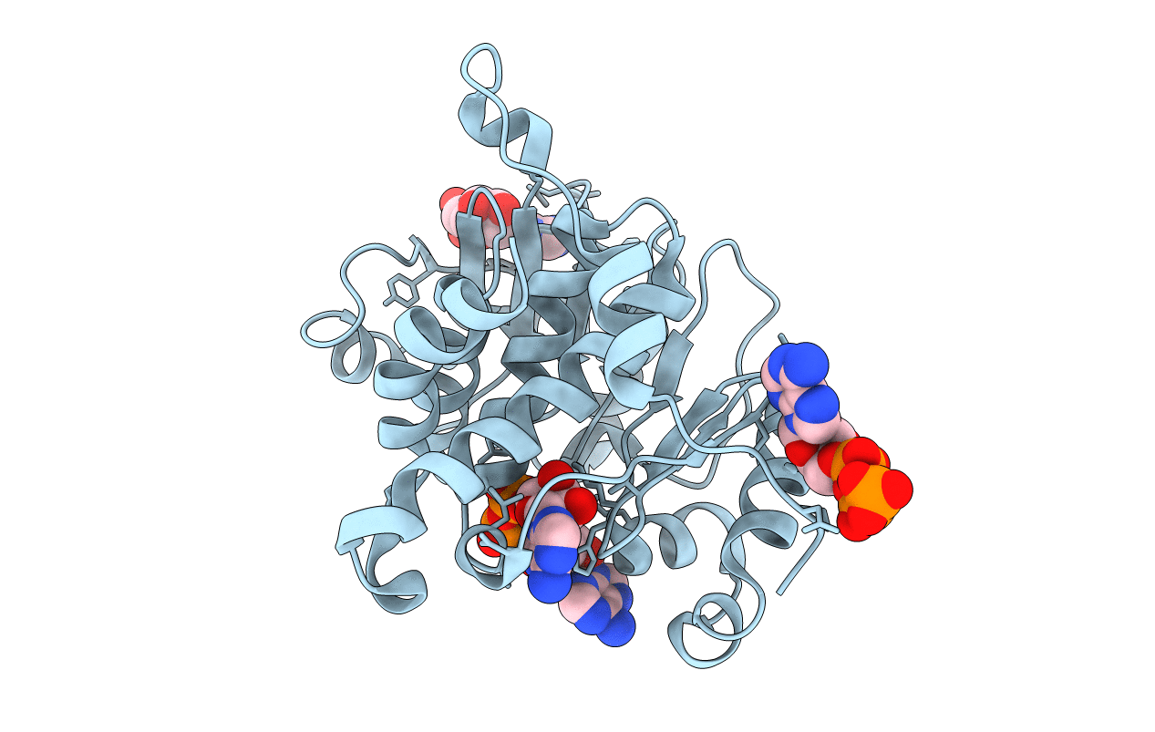 3RQX image
