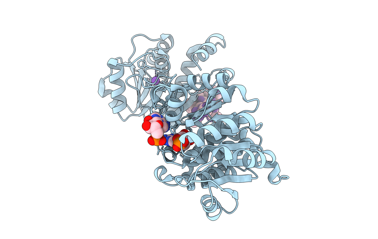 3RRB image