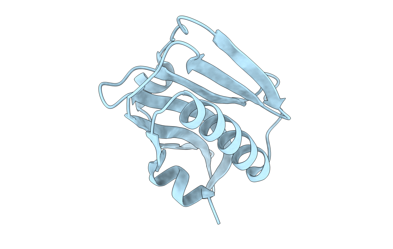3RVC image