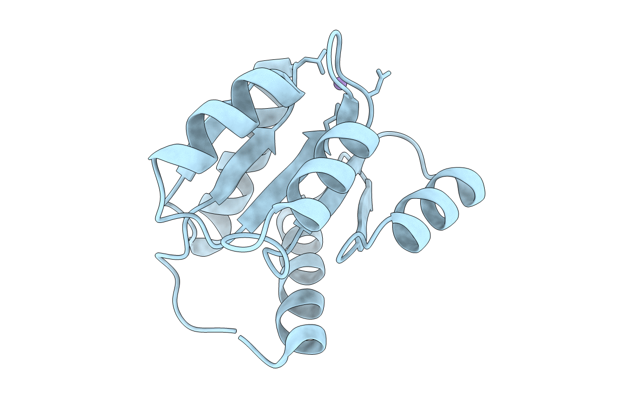 3RVO image