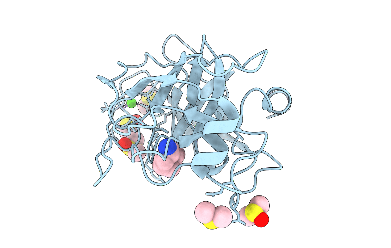 3RXR image