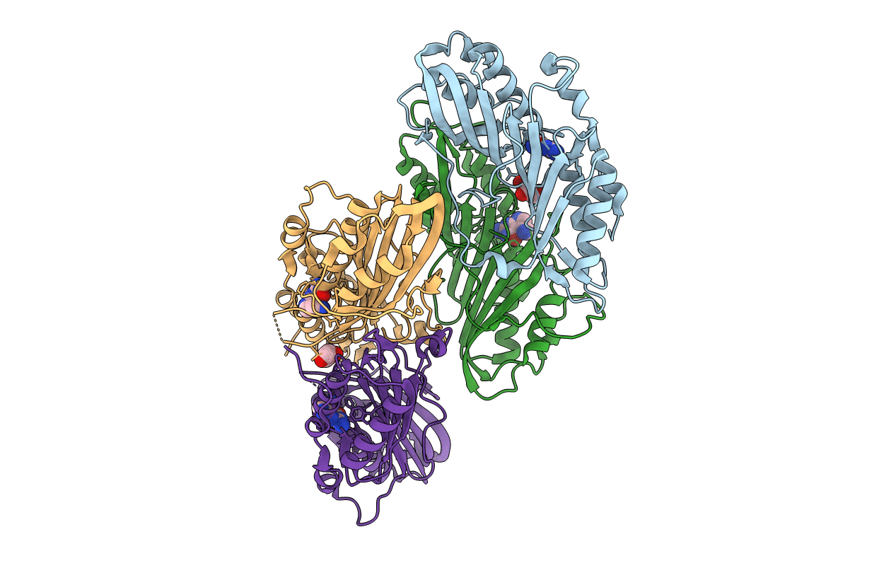 3RZP image
