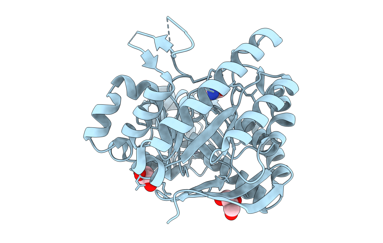 3S1G image