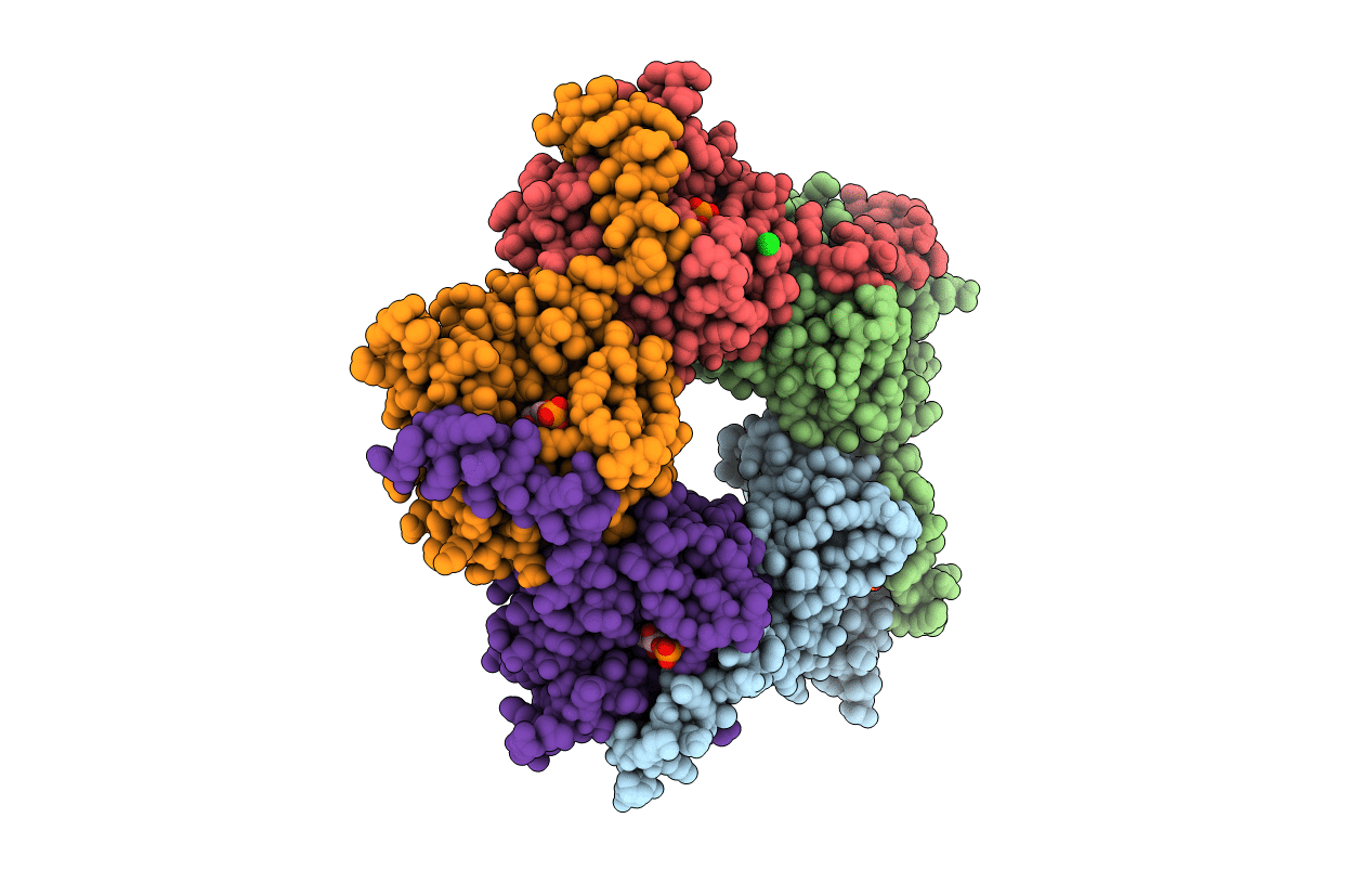 3S1U image