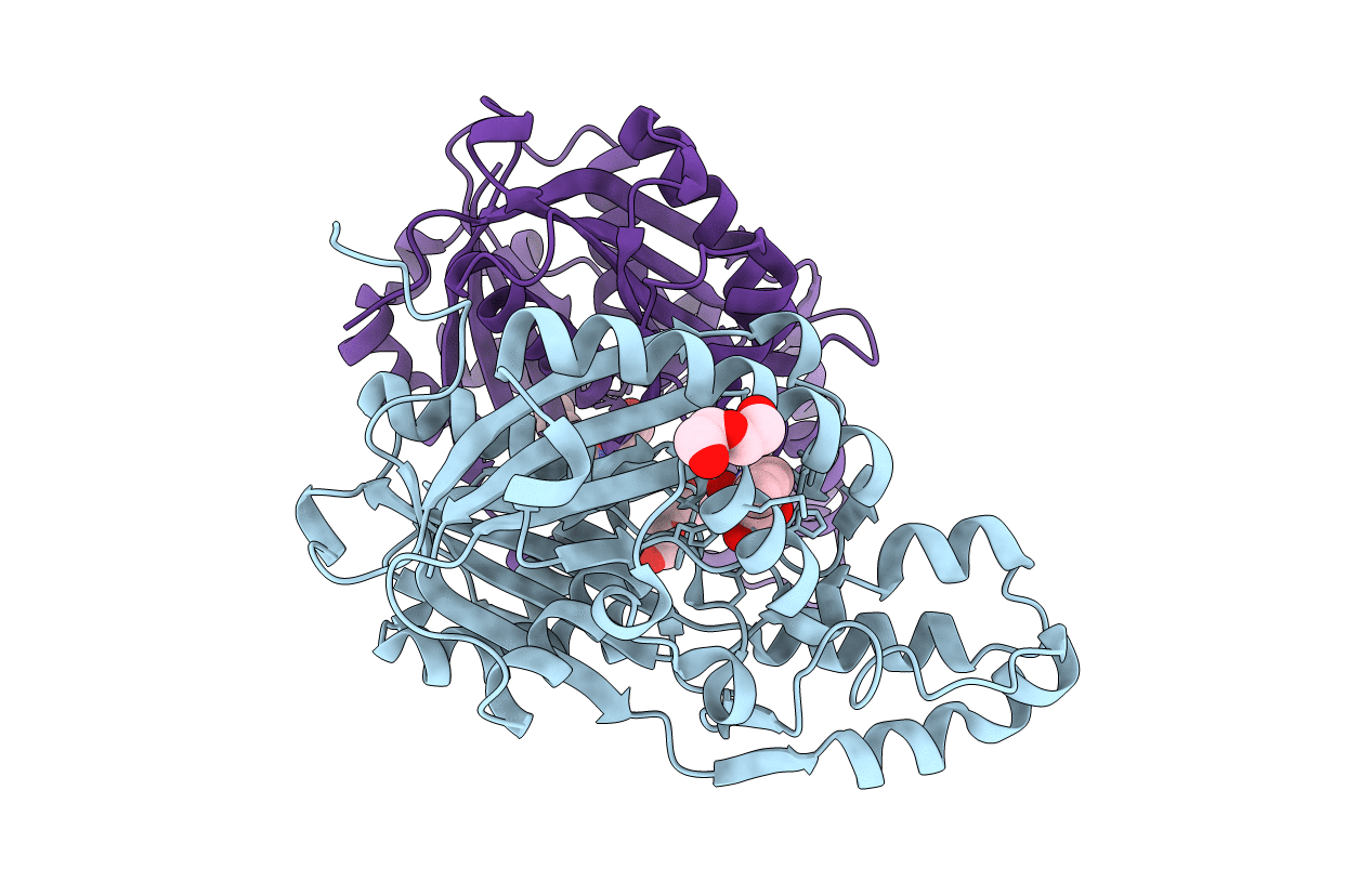 3S20 image