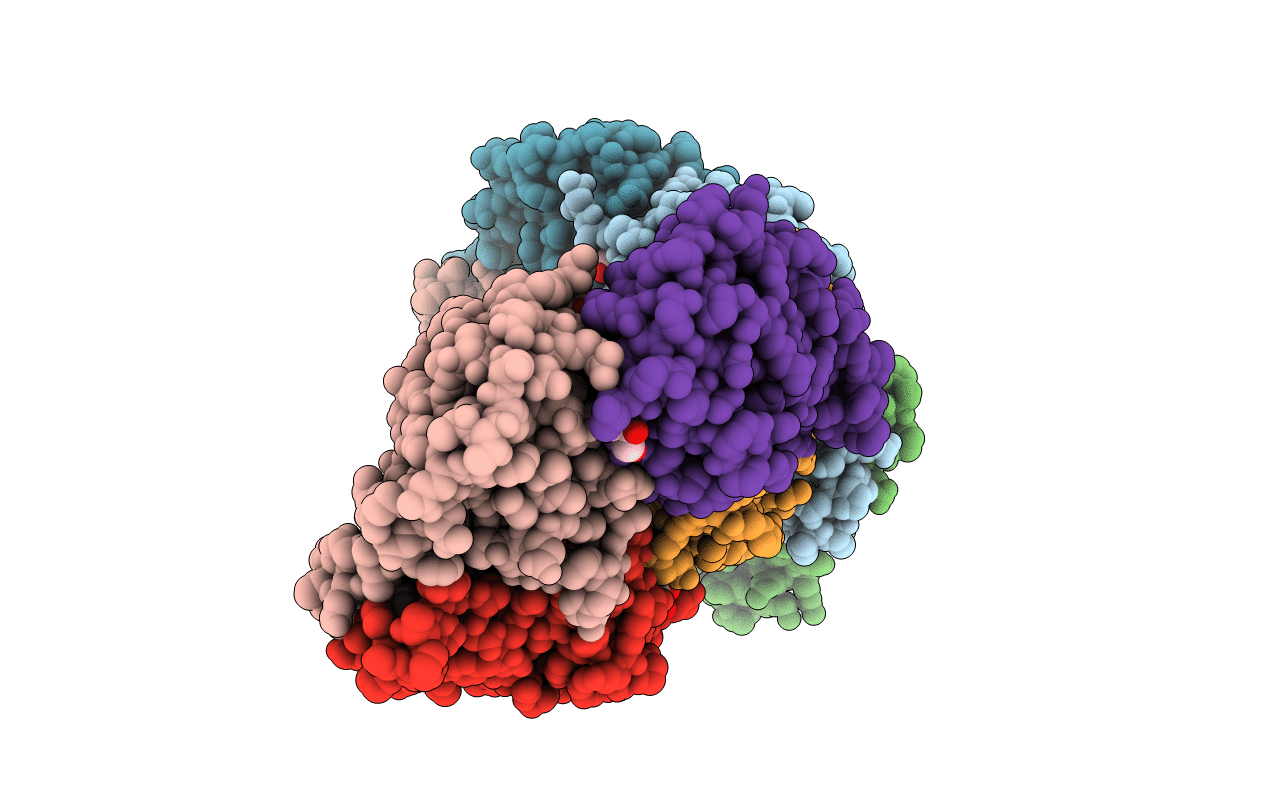 3S3T image