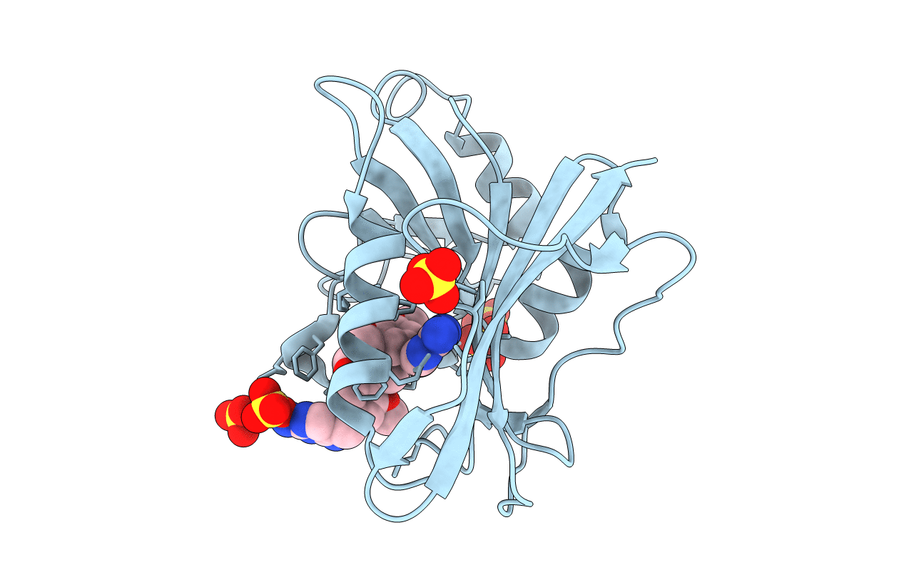 3S3V image