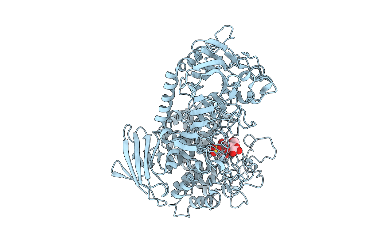 3S4D image