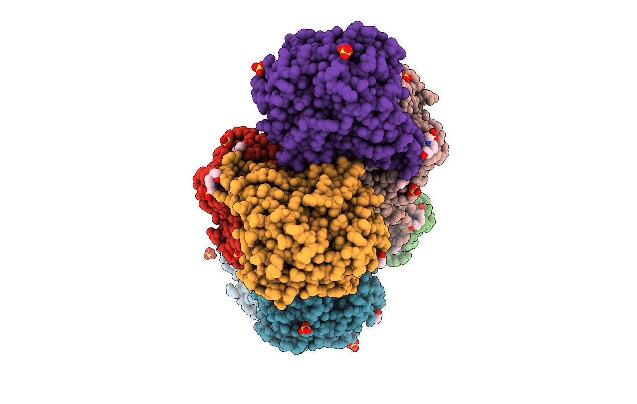 3S4T image