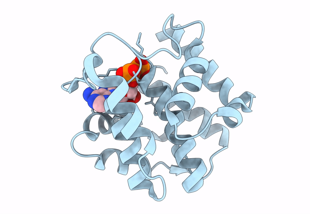 3S6A image