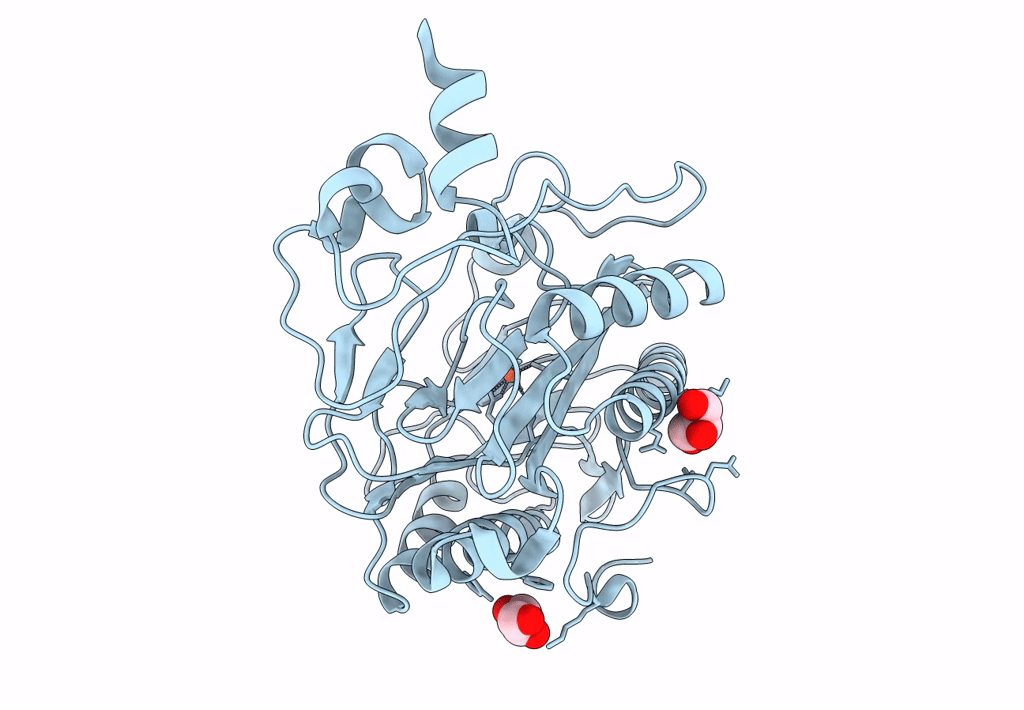3S6B image