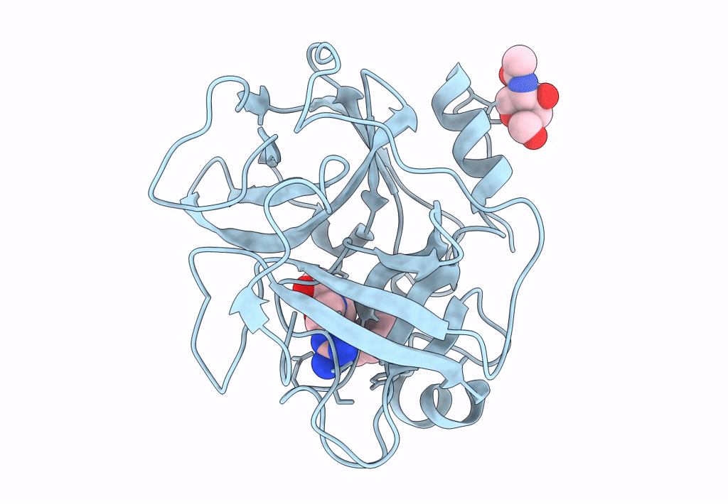 3SBK image