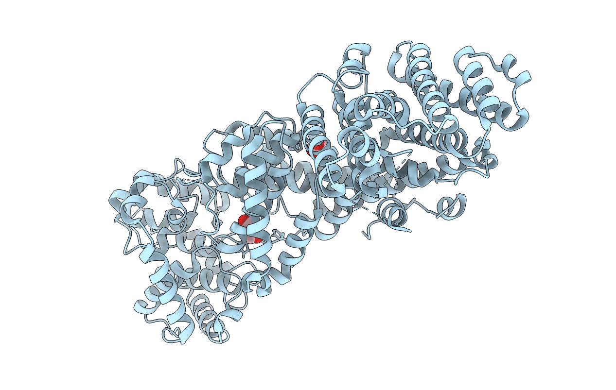 3SDQ image