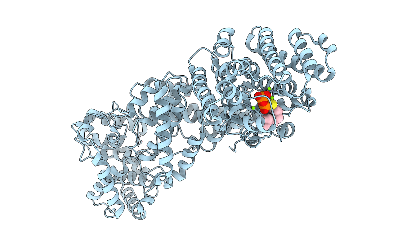 3SDU image