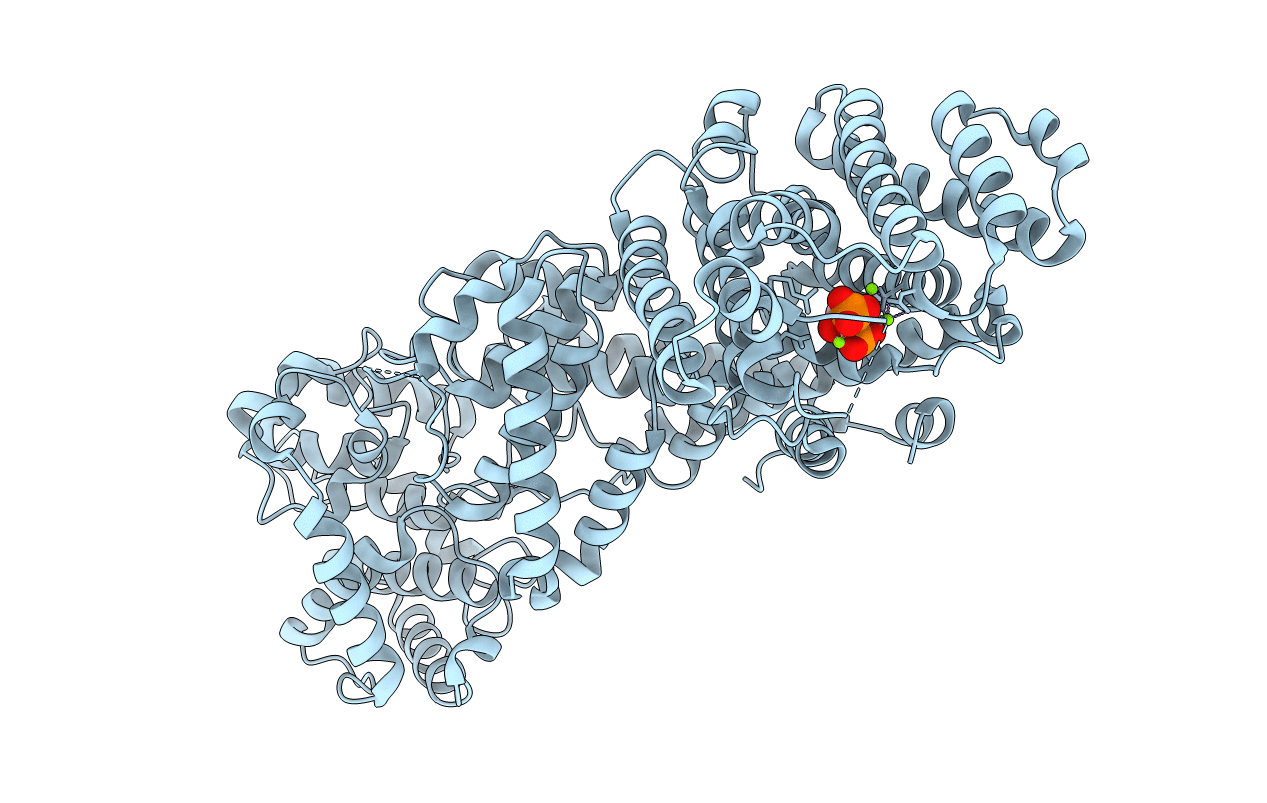 3SDV image