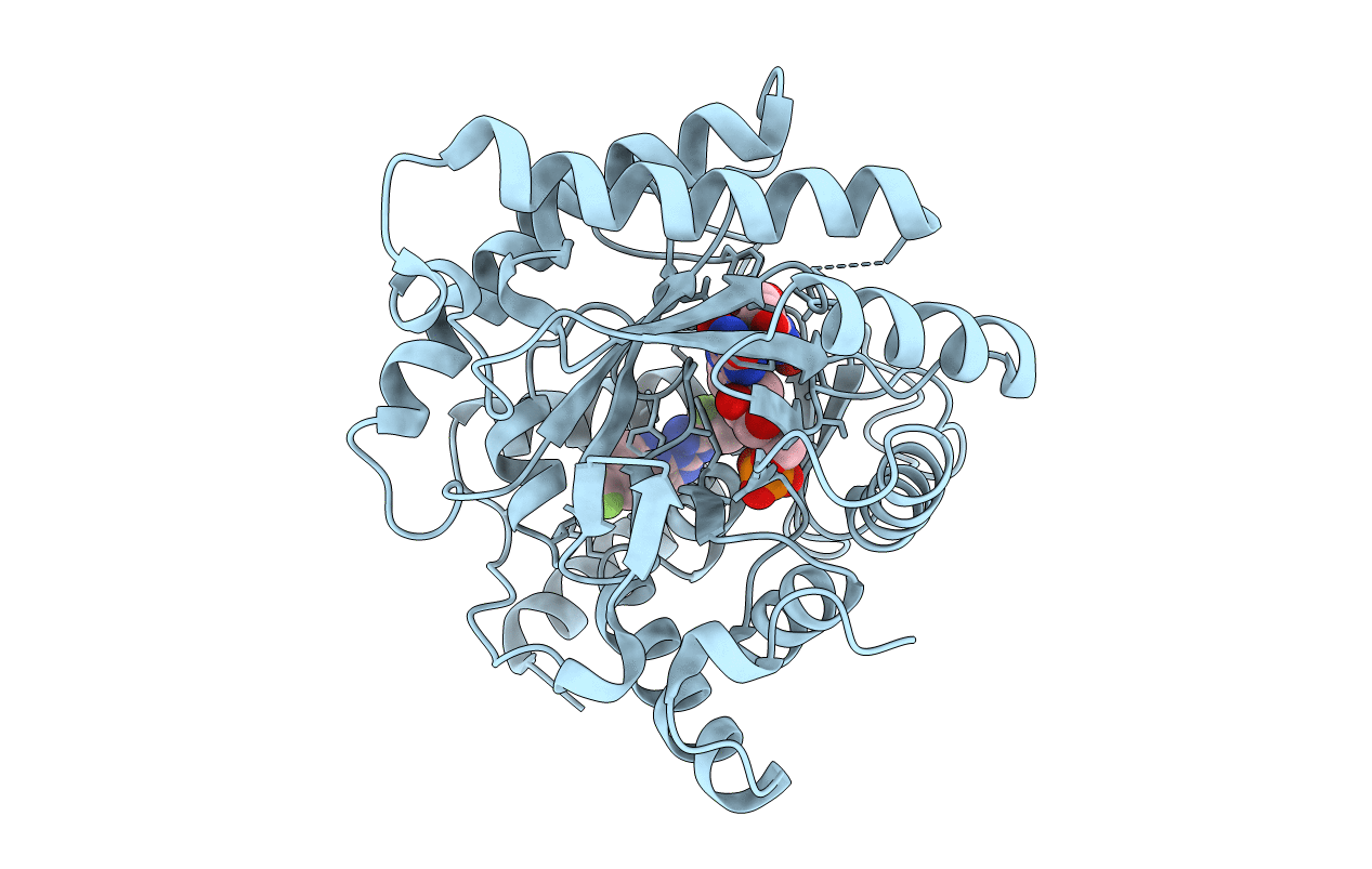 3SFK image