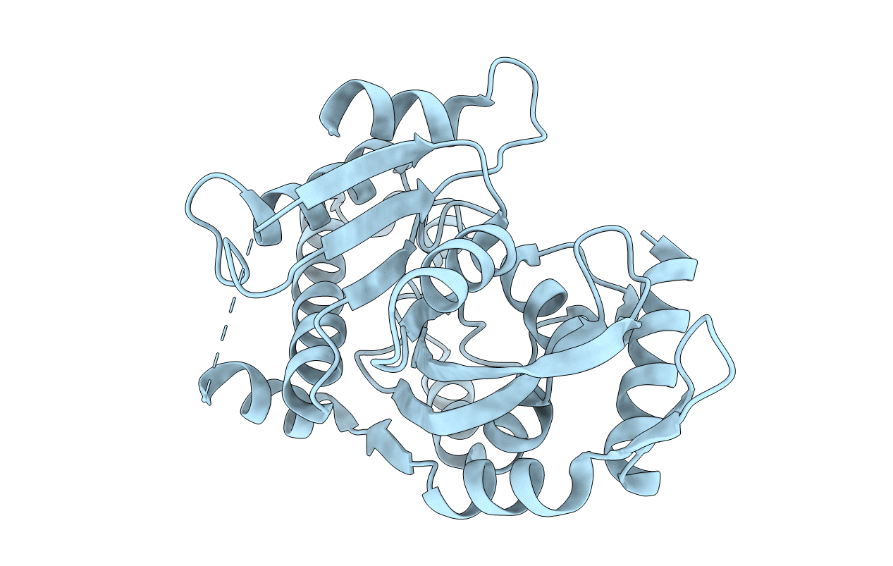 3SIJ image
