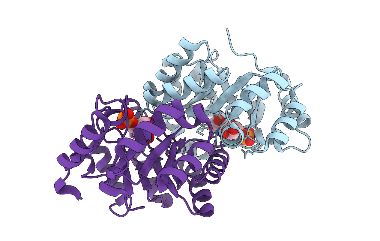 3SJ3 image