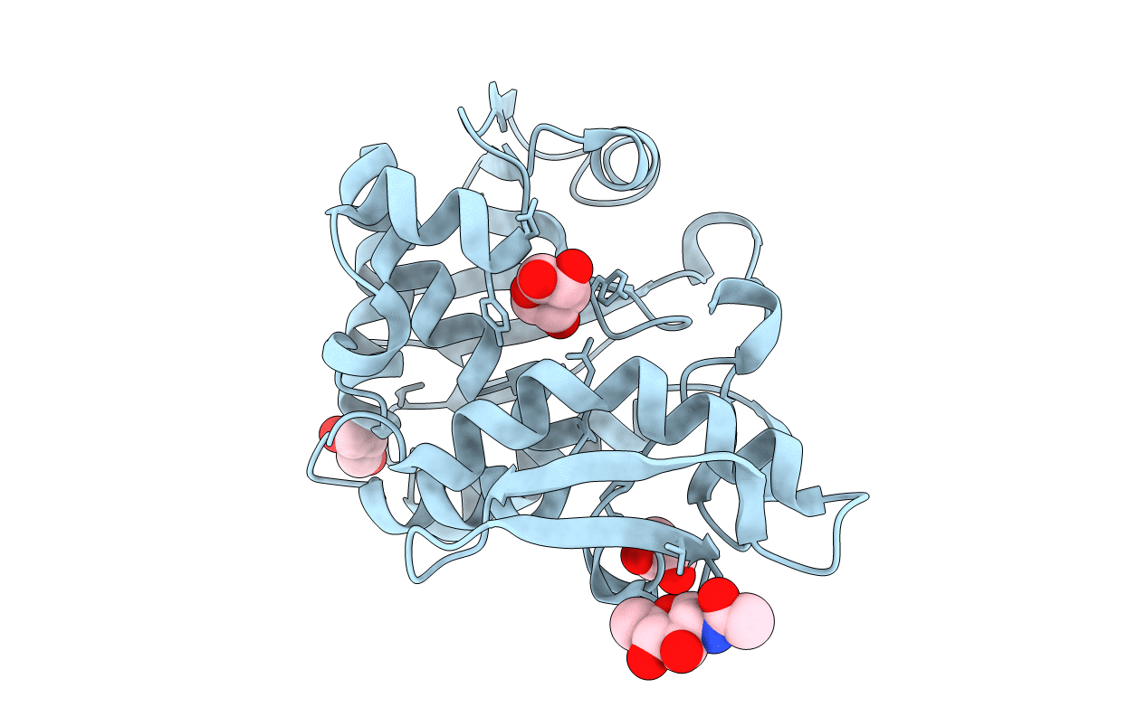 3SJ6 image