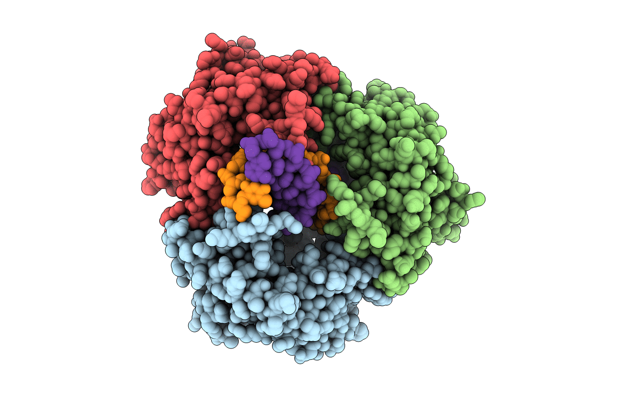 3SM4 image