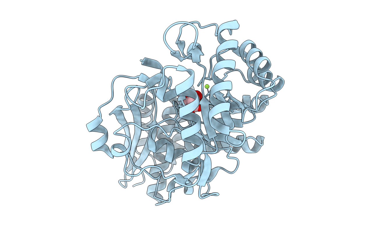 3SN1 image