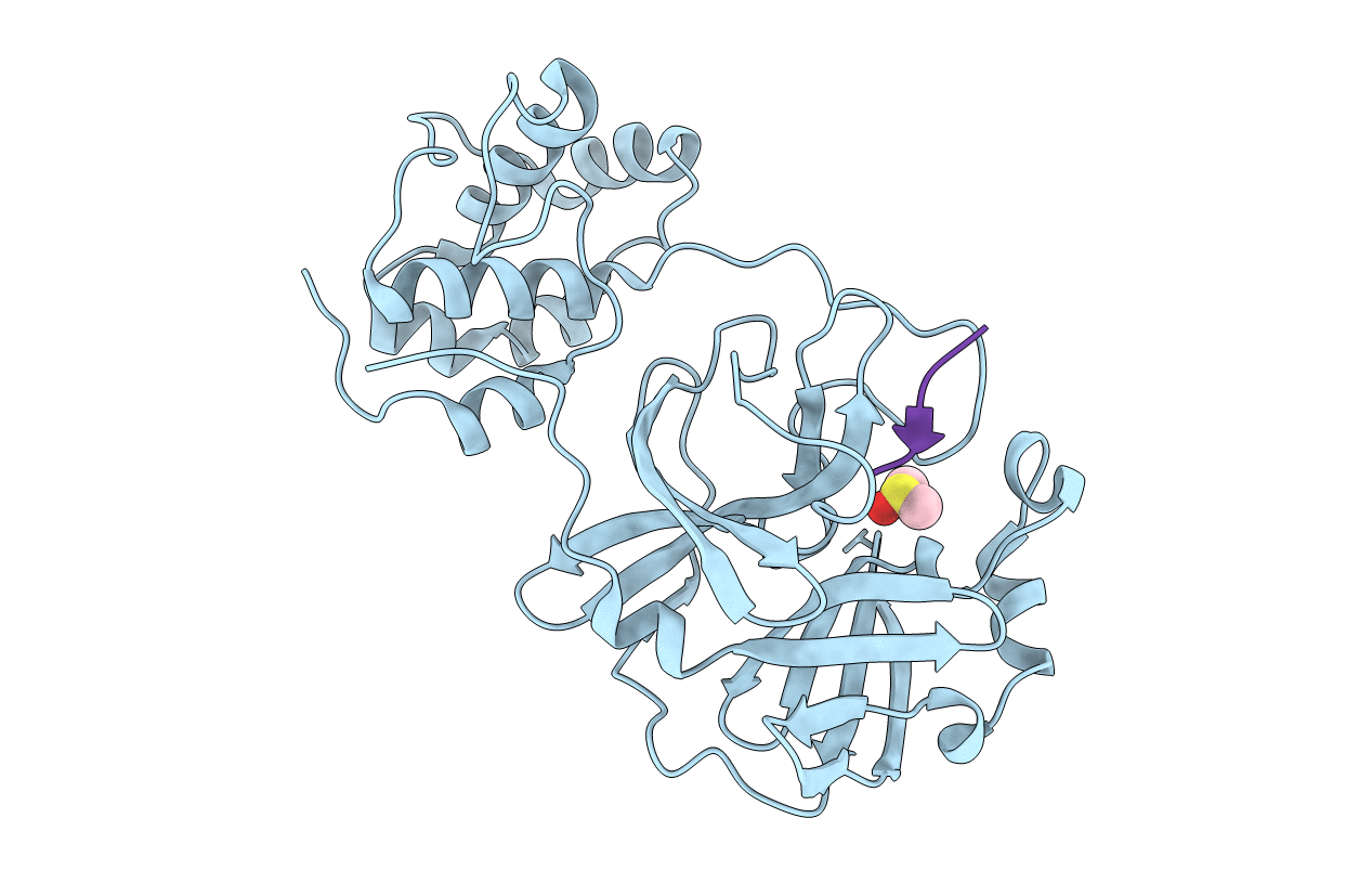 3SNC image