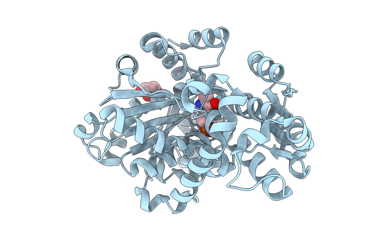 3SS7 image