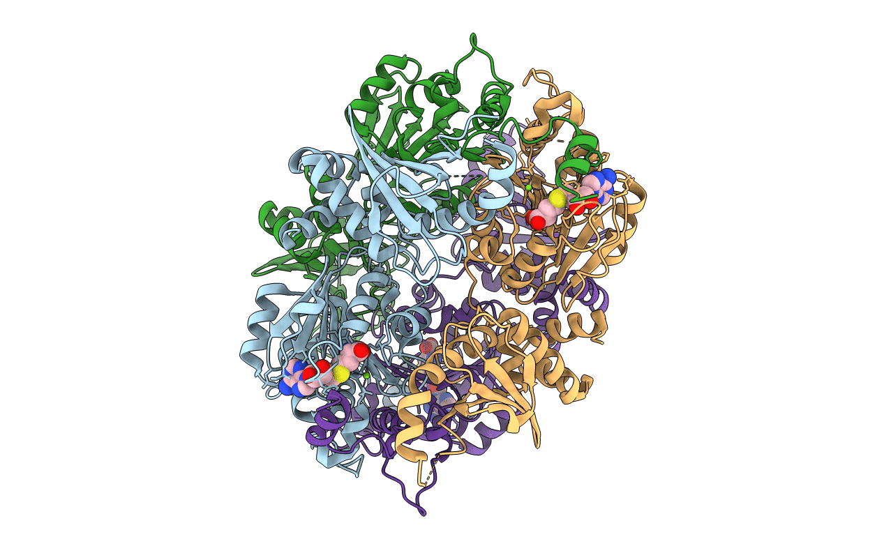 3SSM image
