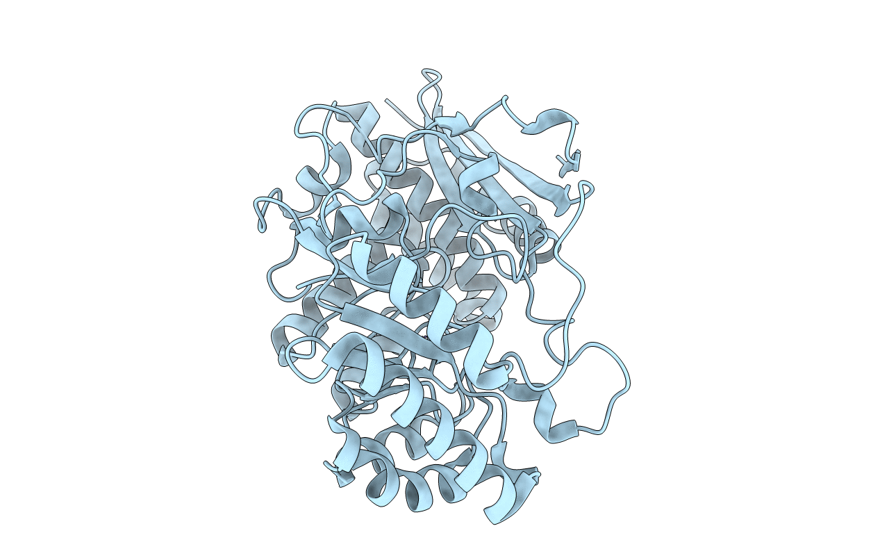 3STP image
