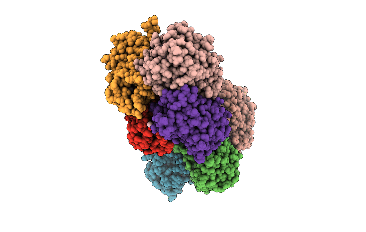 3SX2 image