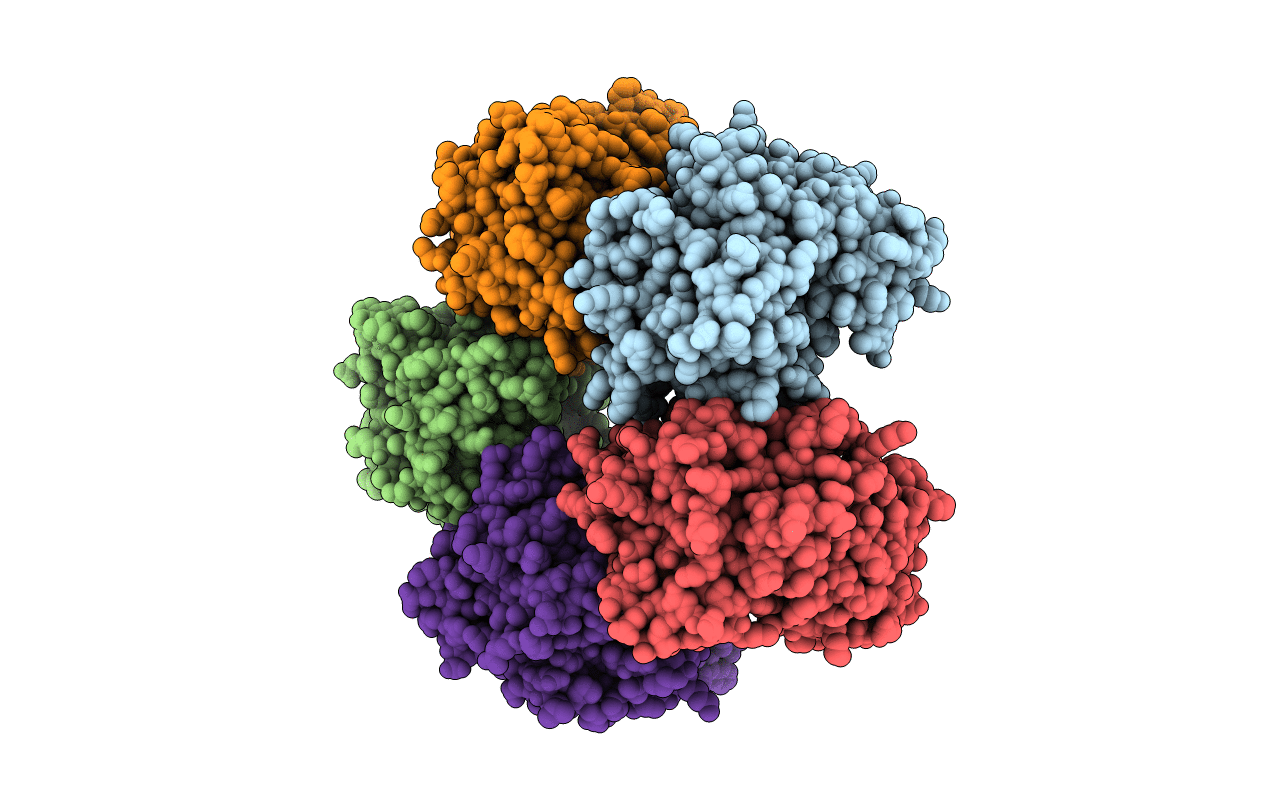 3SXP image