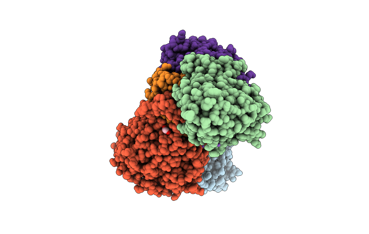 3SXT image