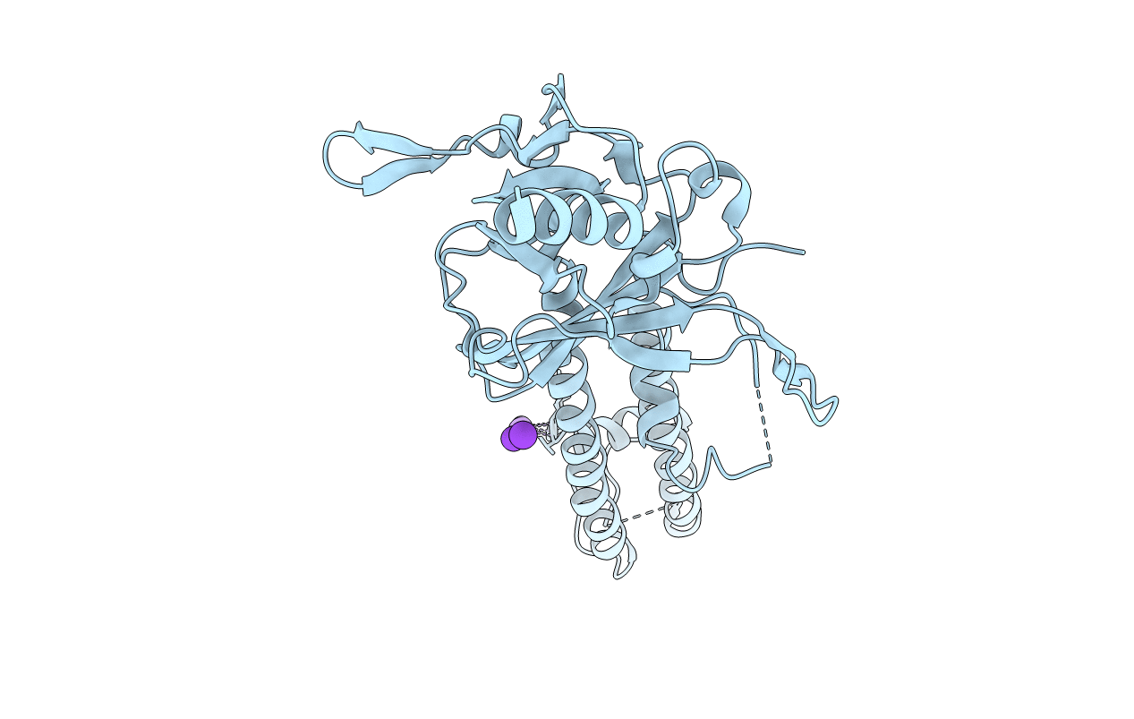 3SYC image