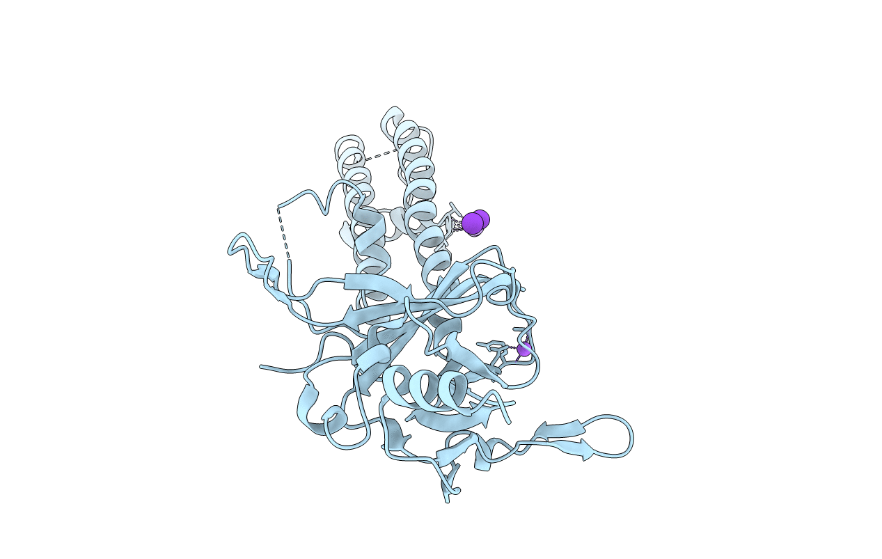 3SYO image