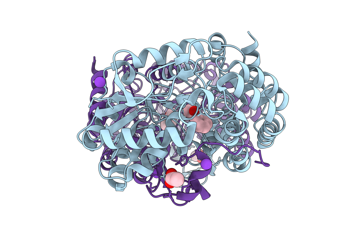 3SZB image