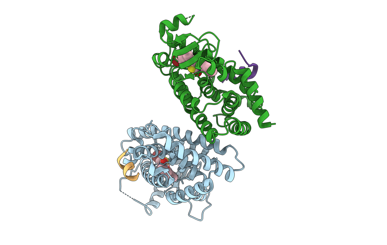 3T03 image